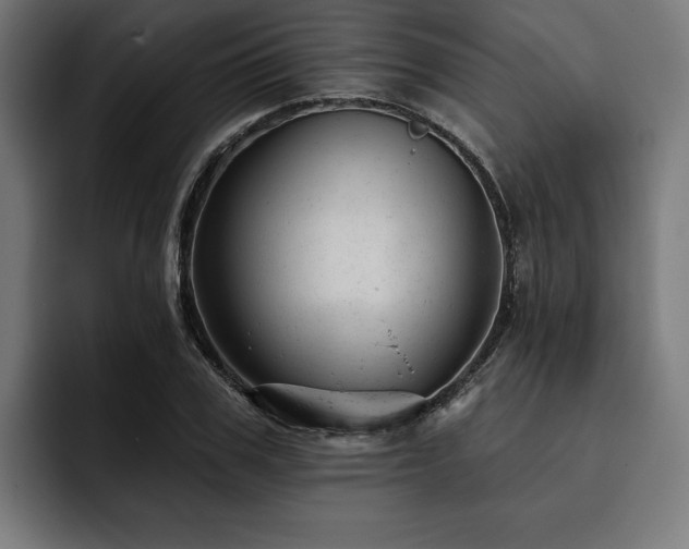 X0000093420979200710121140
