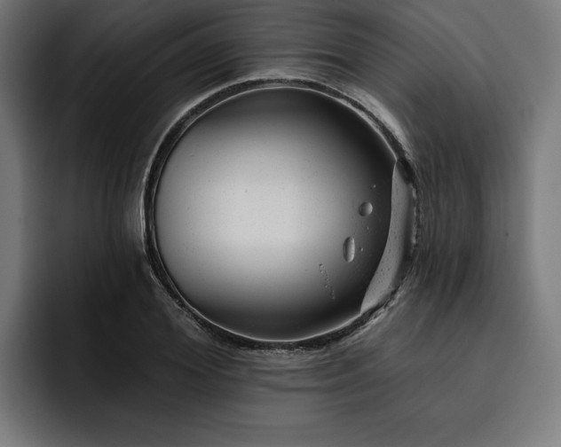 X0000093420980200710121140