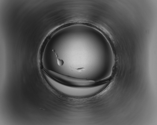 X0000093420981200710121140