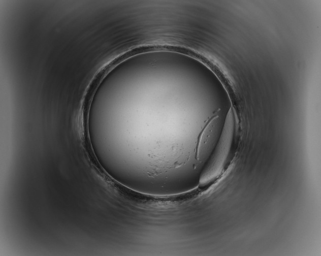 X0000093420982200710121140