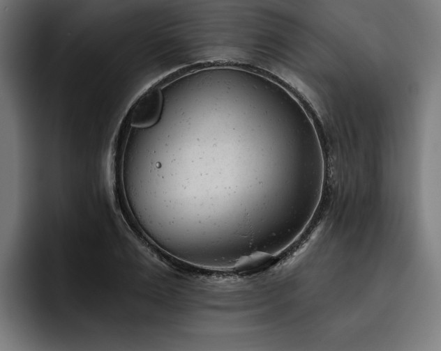 X0000093420983200710121140