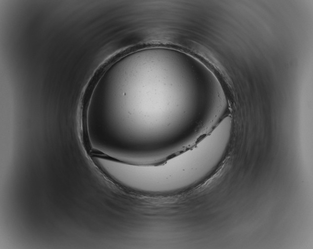 X0000093420984200710121140