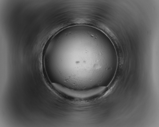 X0000093420986200710121140
