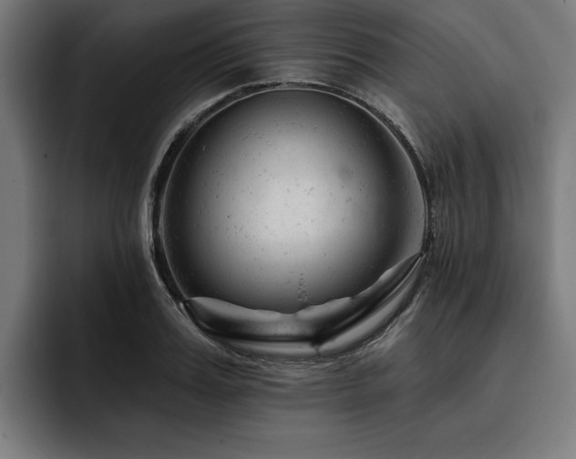 X0000093420987200710121140