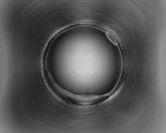 X0000093420989200710121140
