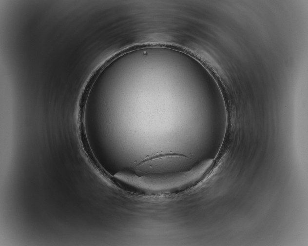 X0000093420990200710121140