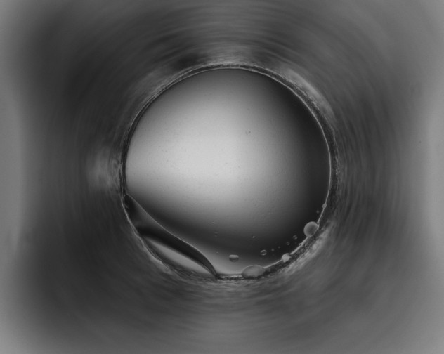 X0000093420993200710121140