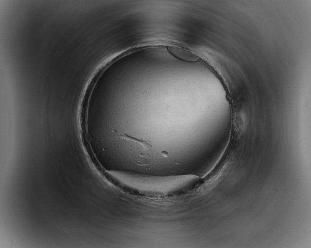 X0000093420995200710121140
