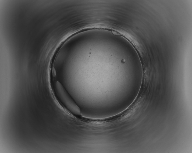X0000093420998200710121140