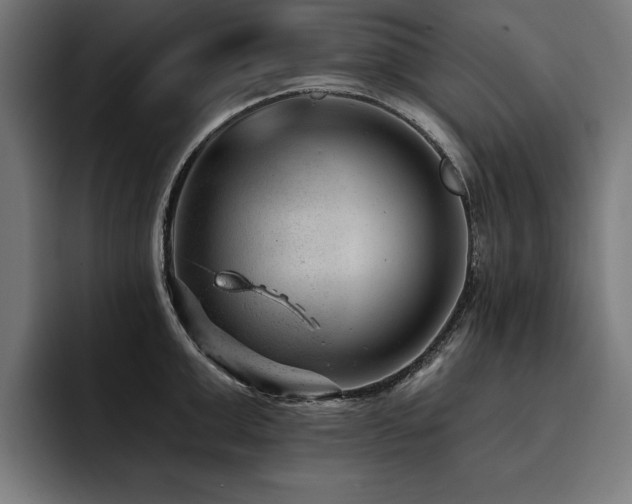 X0000093420999200710121140