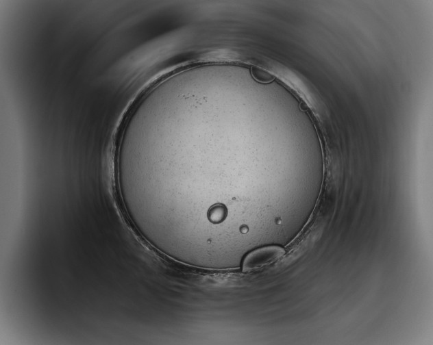 X0000093421000200710121140