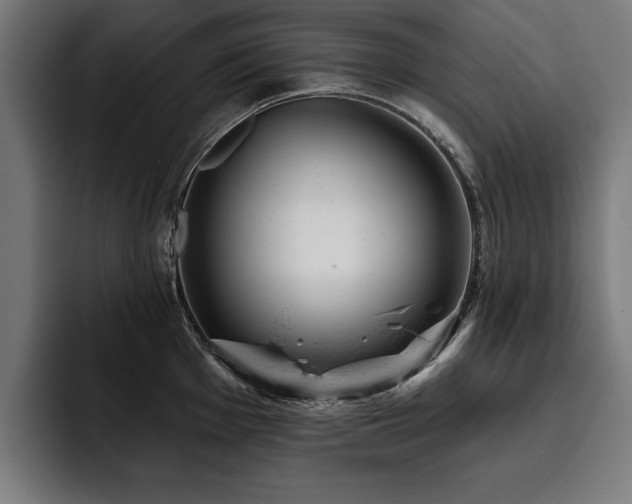 X0000093421001200710121140