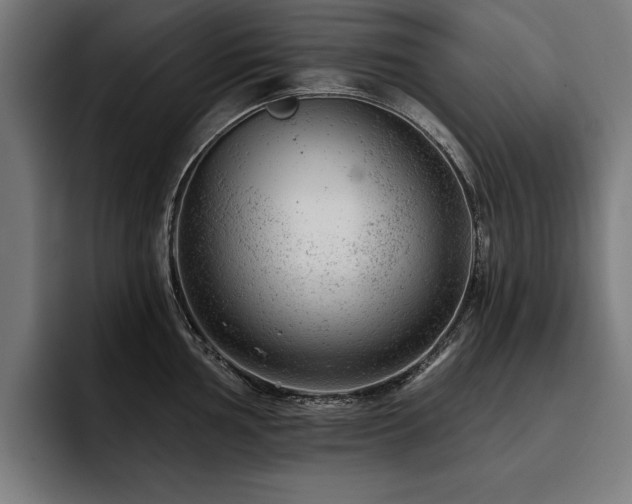 X0000093421002200710121140