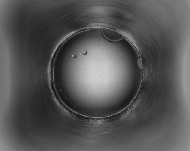 X0000093421003200710121140