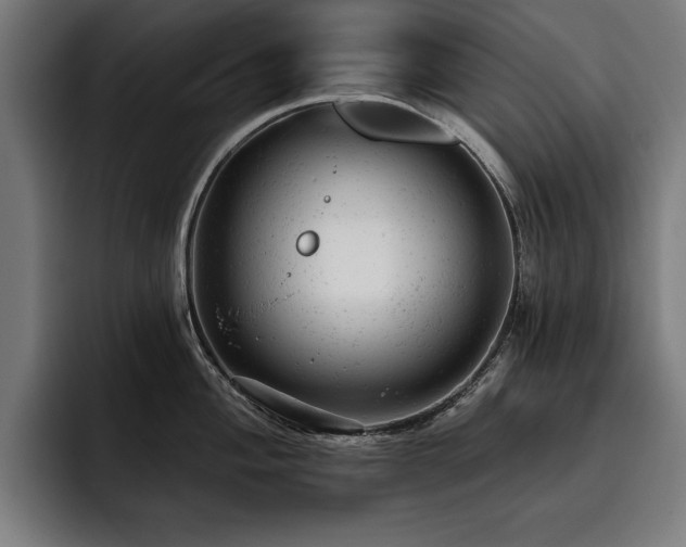 X0000093421004200710121140