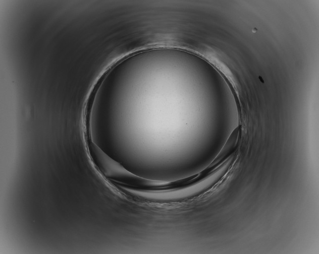 X0000093421005200710121140