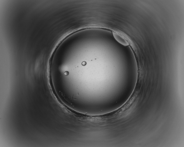X0000093421006200710121140