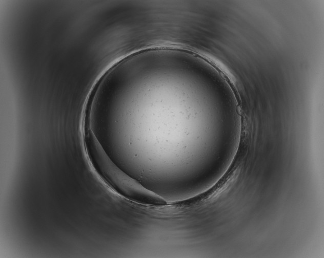 X0000093421007200710121140