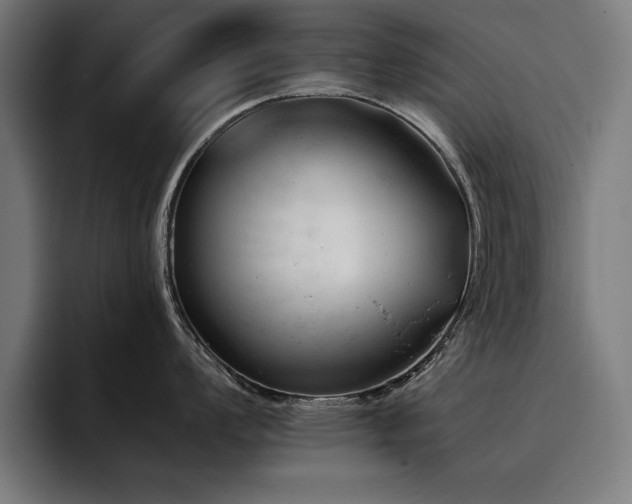 X0000093421008200710121140