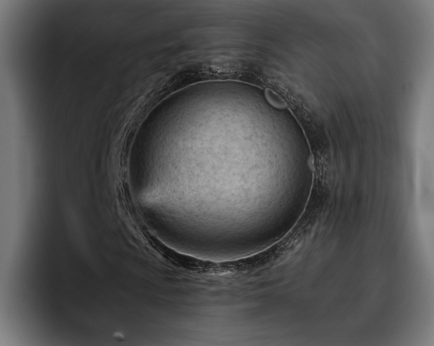 X0000093421009200710121139