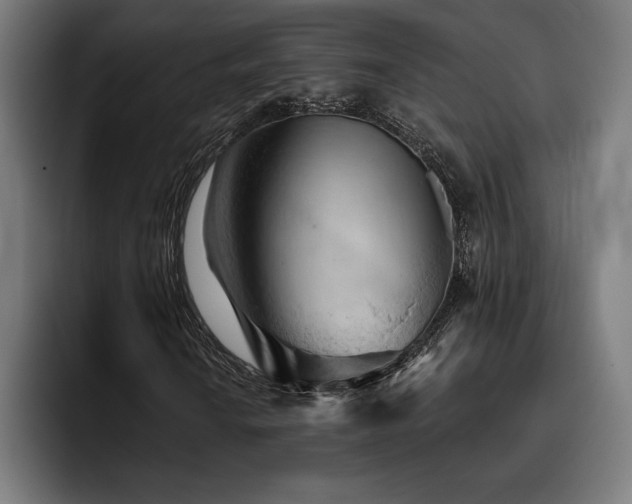 X0000093421010200710121139