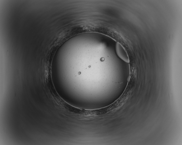 X0000093421012200710121139