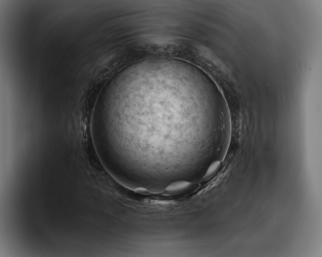 X0000093421013200710121139