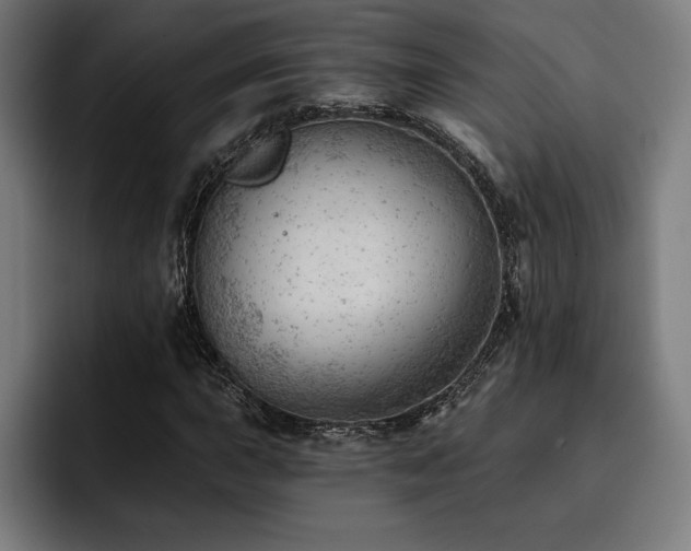 X0000093421015200710121139