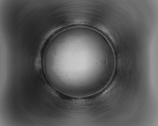 X0000093421019200710121139