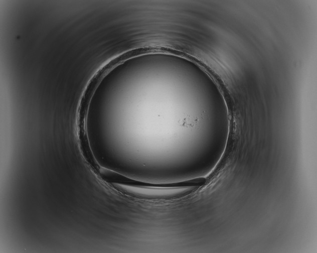 X0000093421020200710121139