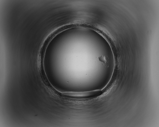 X0000093421021200710121139