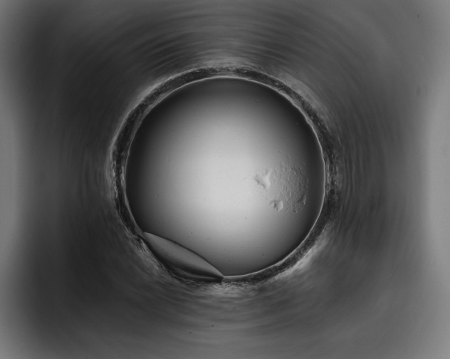 X0000093421022200710121140