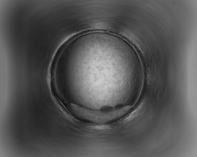 X0000093421024200710121140