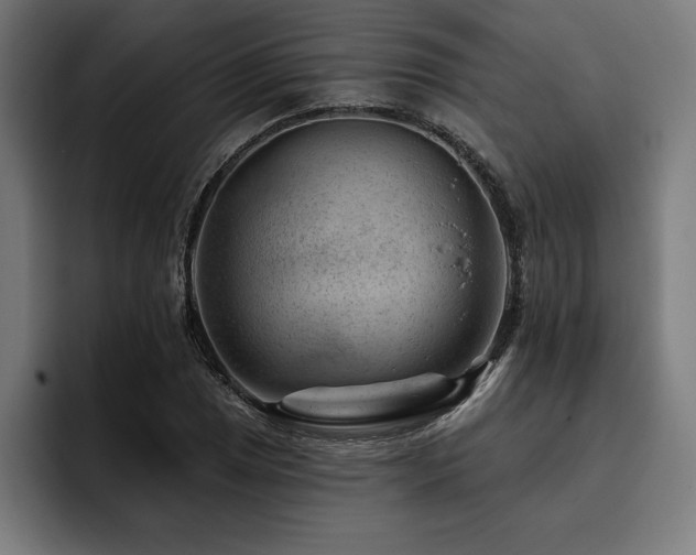 X0000093421025200710121140