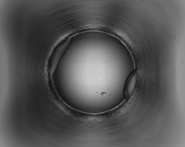 X0000093421026200710121140