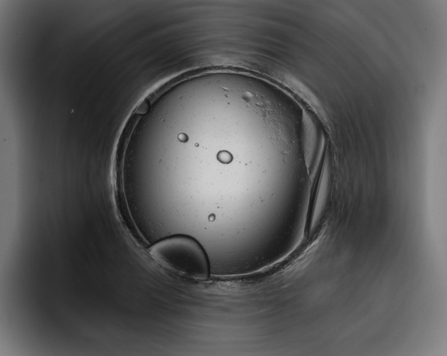 X0000093421028200710121140