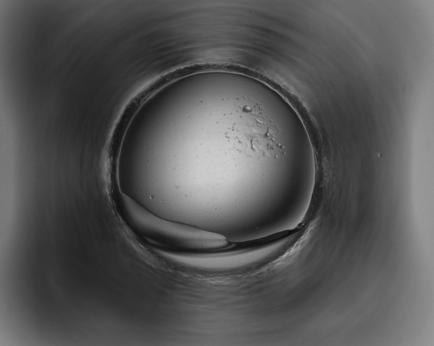 X0000093421029200710121140