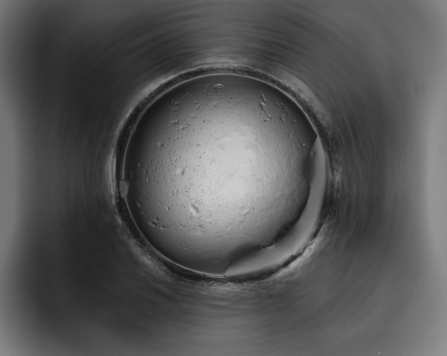 X0000093421030200710121140