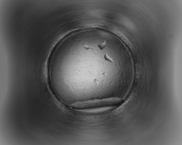 X0000093421031200710121140