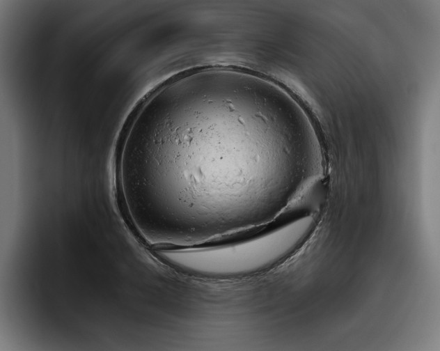 X0000093421032200710121140