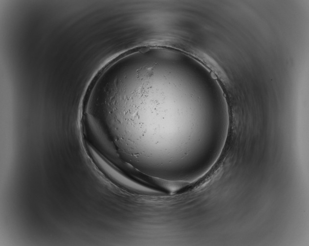 X0000093421036200710121140