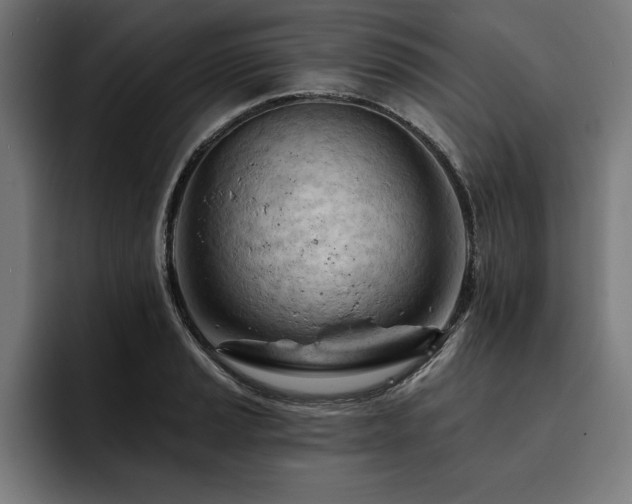 X0000093421037200710121140