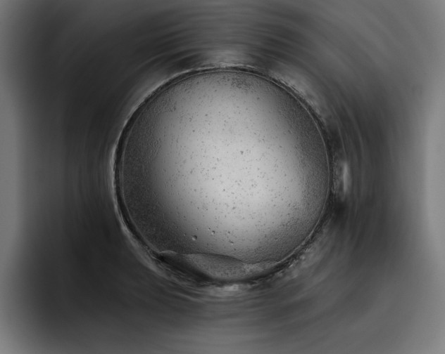 X0000093421039200710121140