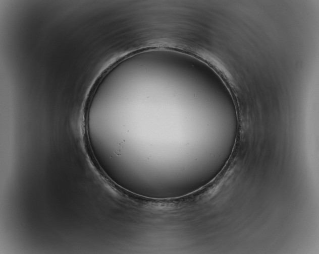 X0000093421040200710121140