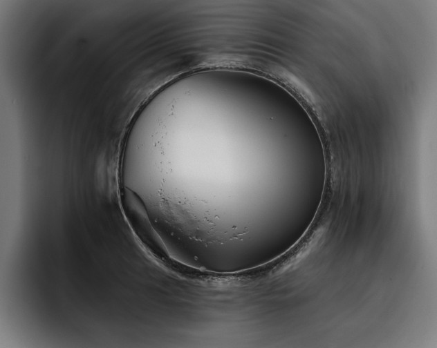 X0000093421041200710121140