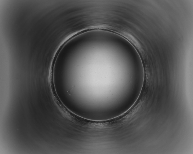 X0000093421044200710121140