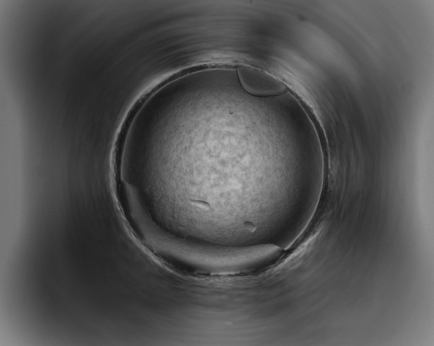 X0000093421045200710121140