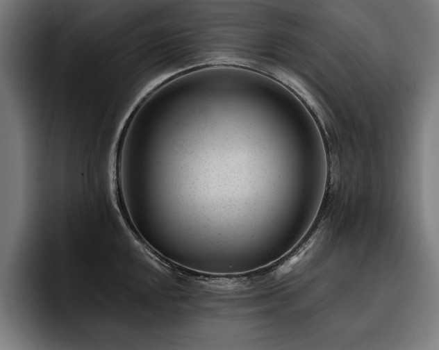 X0000093421048200710121140