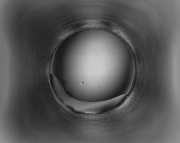 X0000093421049200710121140