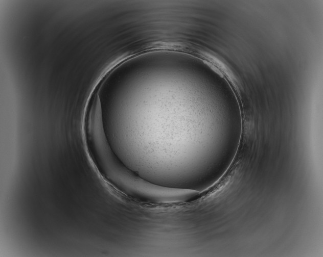 X0000093421050200710121140